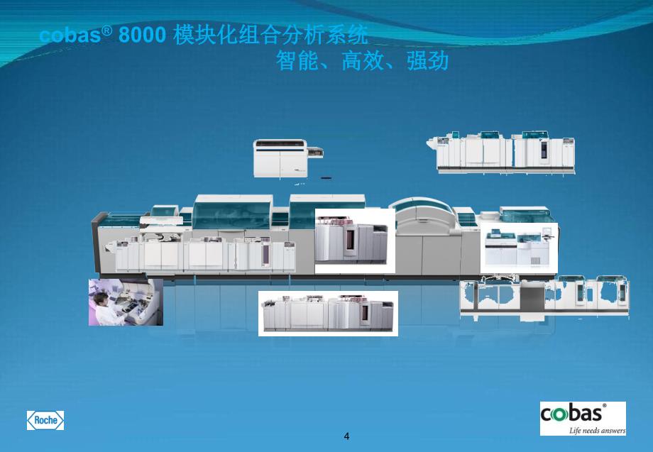 生化反应曲线基础医学医药卫生专业资料_第4页