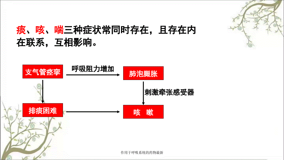 作用于呼吸系统的药物最新课件_第2页