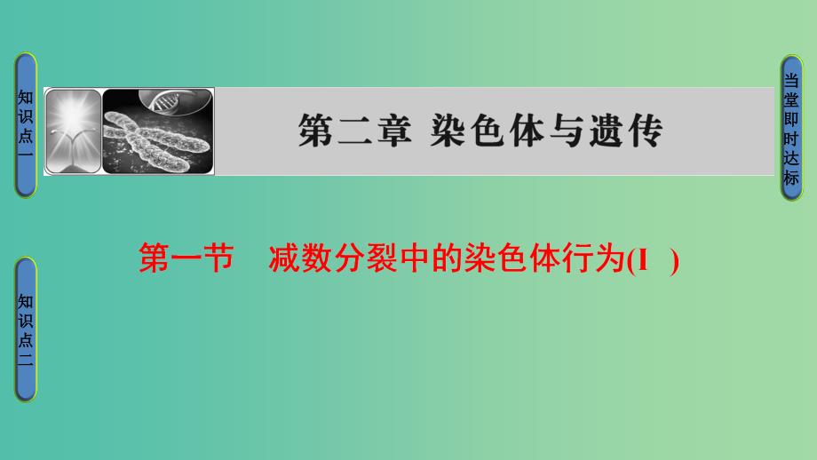 高中生物 第2章 染色体与遗传 第1节 减数分裂中的染色体行为（Ⅰ）课件 浙科版必修2.ppt_第1页