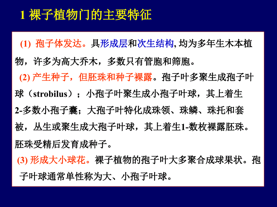 普通生物学课件：5 裸子植物_第4页