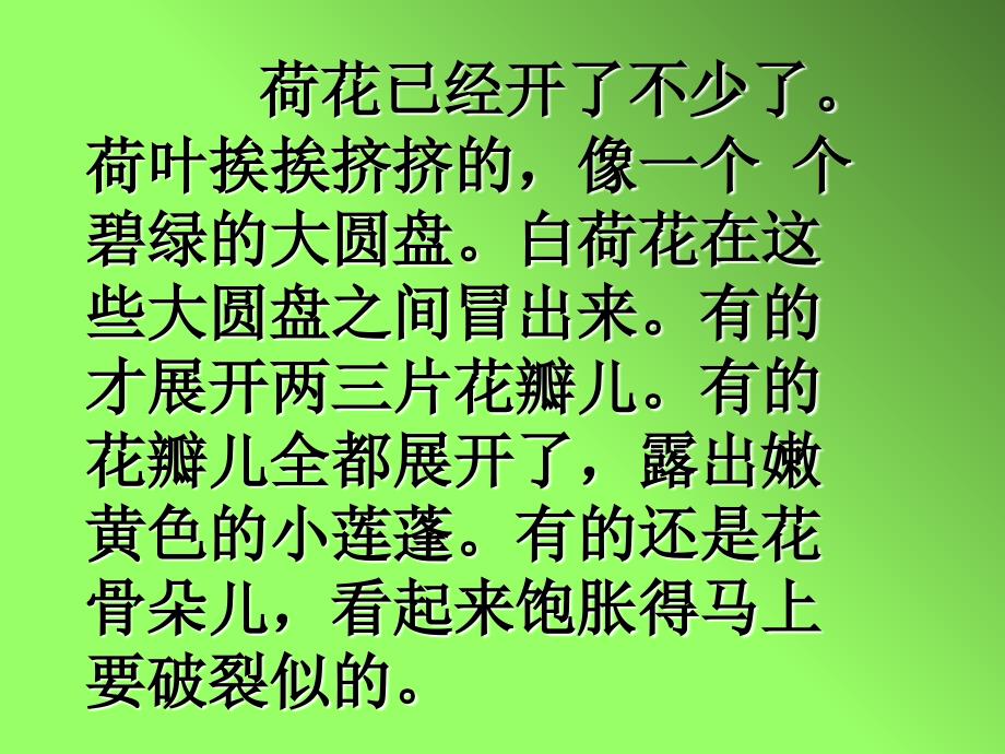 三年级下册第三课荷花课件_第4页