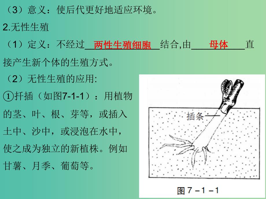 中考生物总复习 第七单元 第一章 生物的生殖和发育课件.ppt_第3页