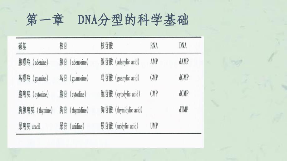 人类dna分析课件_第3页