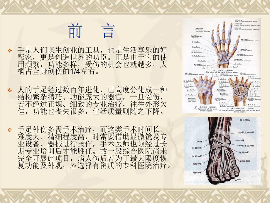 四肢创伤现场急救与处理PPT课件_第4页