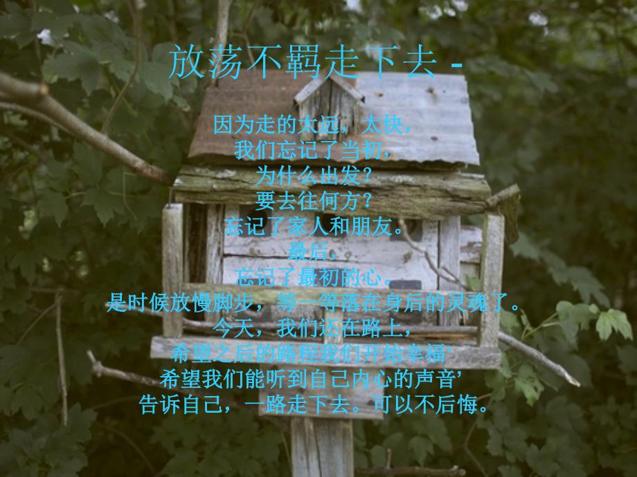 不朽的少年有放肆的梦.ppt_第3页