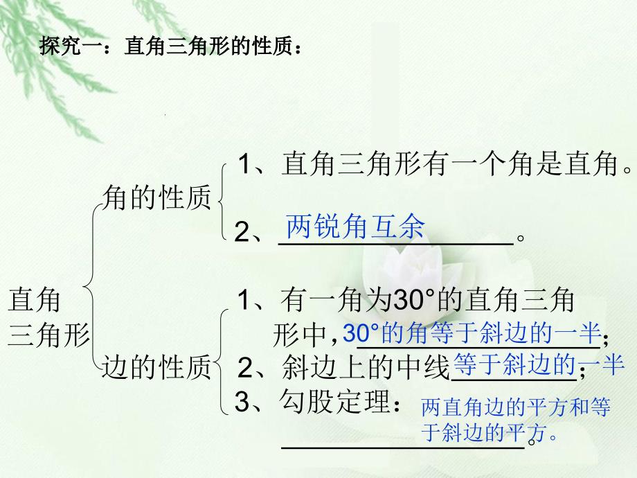 直角三角形性质与判定的运用_第2页