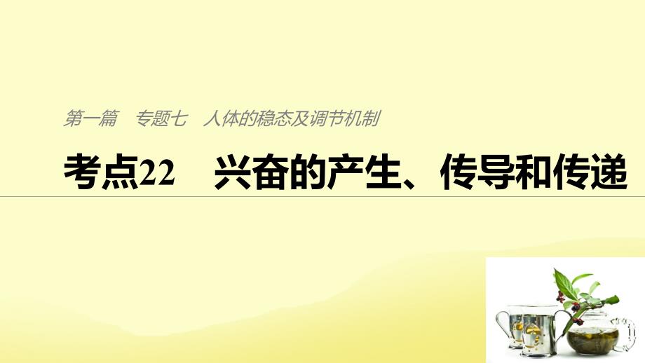 （通用）高考生物二轮复习 专题七 人体的稳态及调节机制 考点22 兴奋的产生、传导和传递课件_第1页