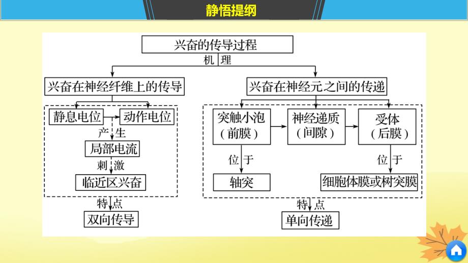 （通用）高考生物二轮复习 专题七 人体的稳态及调节机制 考点22 兴奋的产生、传导和传递课件_第3页