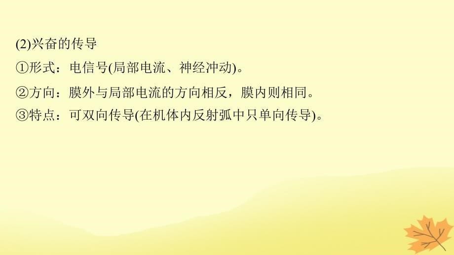 （通用）高考生物二轮复习 专题七 人体的稳态及调节机制 考点22 兴奋的产生、传导和传递课件_第5页