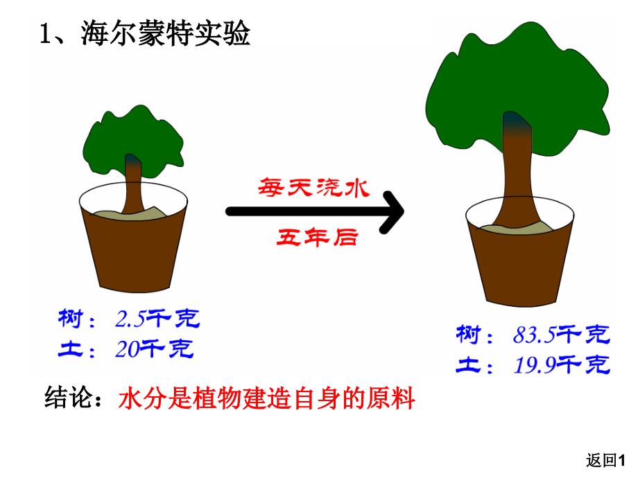 光合原理和应用pt_第3页