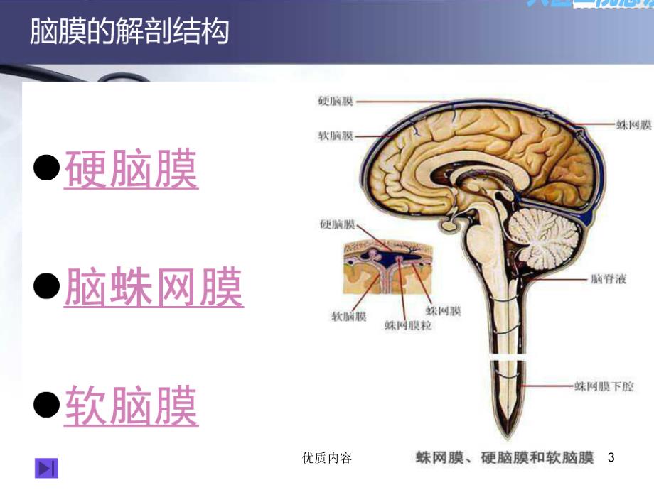 硬膜外及硬膜下血肿参考材料_第3页