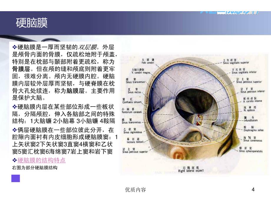 硬膜外及硬膜下血肿参考材料_第4页