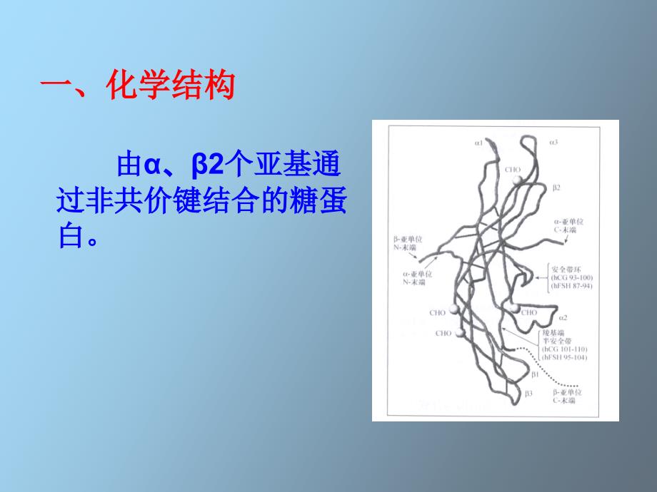 促性腺激素药物_第4页