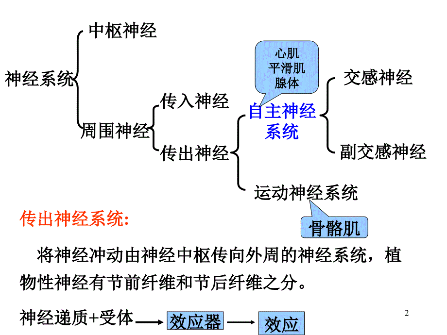 精选课件传出神经系统药理概论_第2页