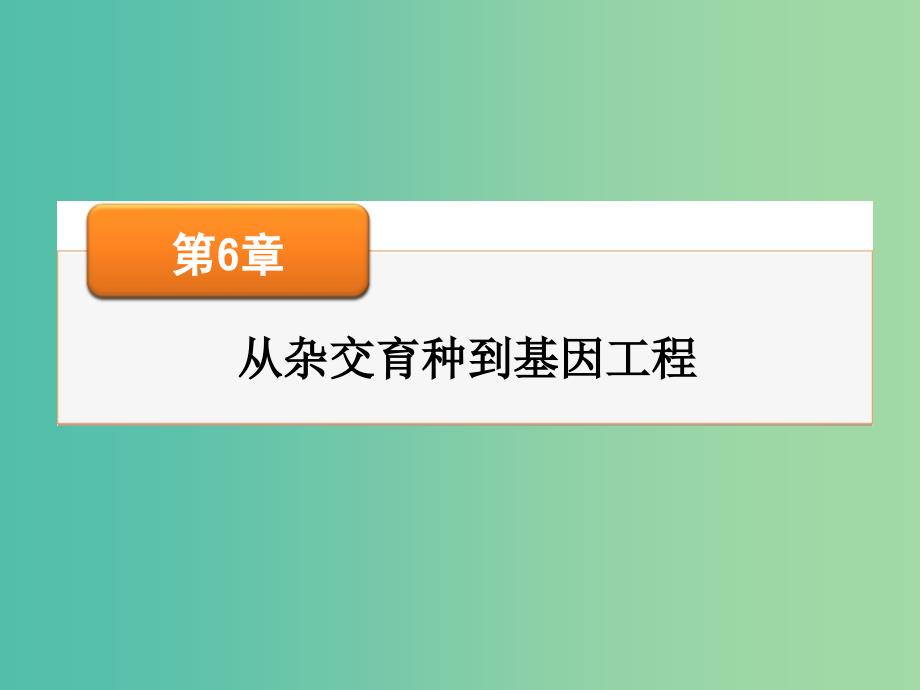 高考生物大一轮复习 第六章 第1、2节 杂交育种与诱变育种、基因工程及其应用课件 新人教版必修2.ppt_第1页