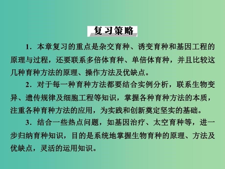 高考生物大一轮复习 第六章 第1、2节 杂交育种与诱变育种、基因工程及其应用课件 新人教版必修2.ppt_第5页