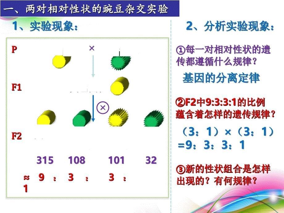 孟德尔豌豆杂交实验二公开课_第5页