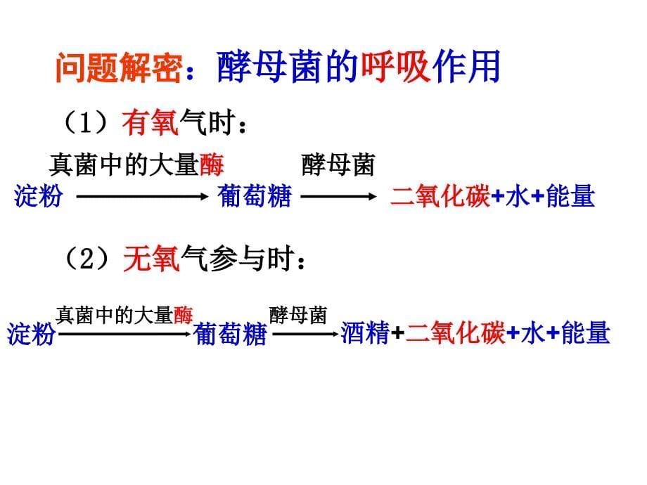 第五节人类对细菌和真菌的利用课件人教版八年级上_第5页