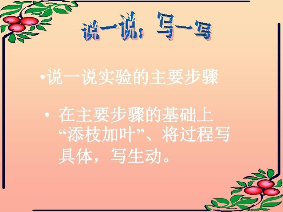 六年级语文下册 习作四《一个有趣的实验》课件3 苏教版_第5页