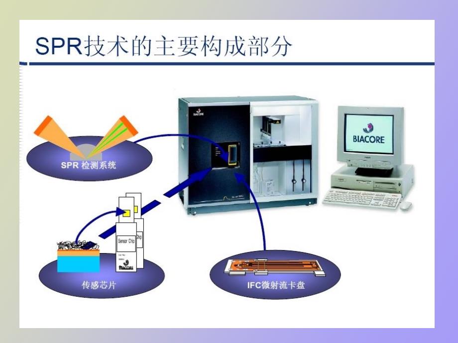 蛋白质相互作用技术_第3页