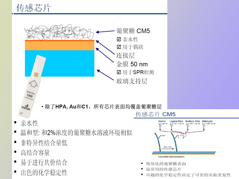 蛋白质相互作用技术_第4页