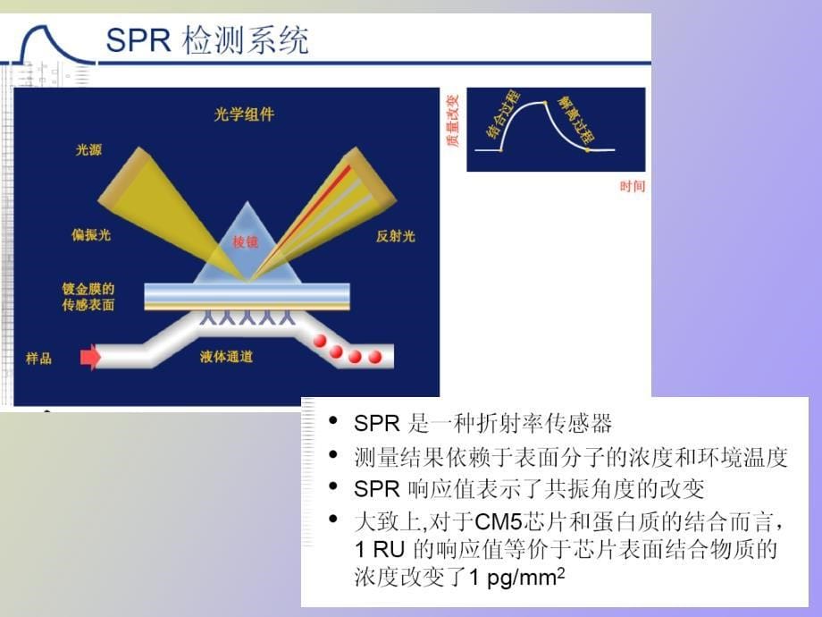 蛋白质相互作用技术_第5页