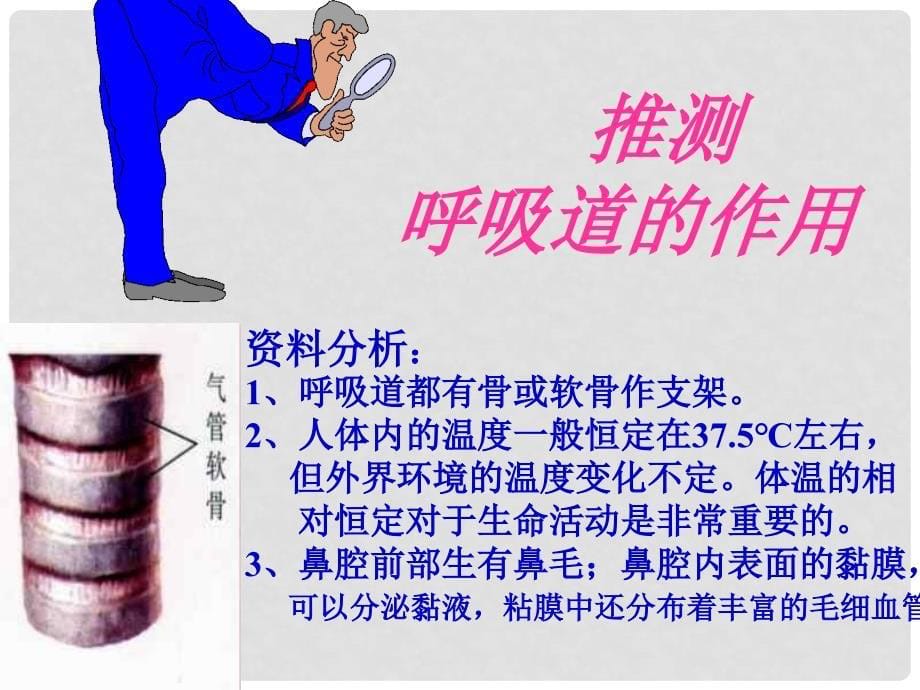 七年级生物上册 第三章 第一节 呼吸道对空气的处理课件册 新人教版_第5页