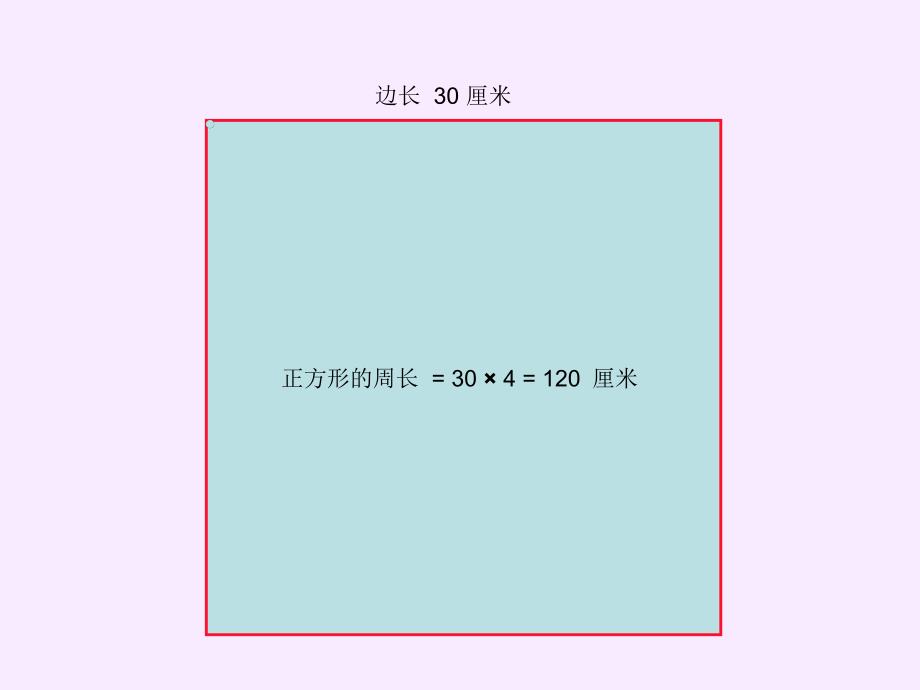 人教版数学十一册圆的周长_第3页