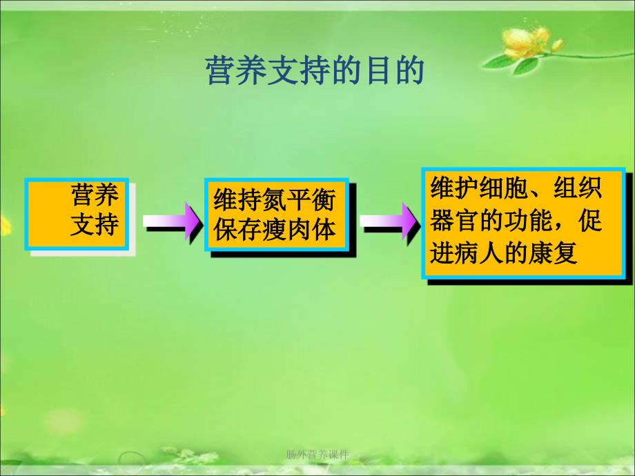 肠外营养课件经典实用_第3页