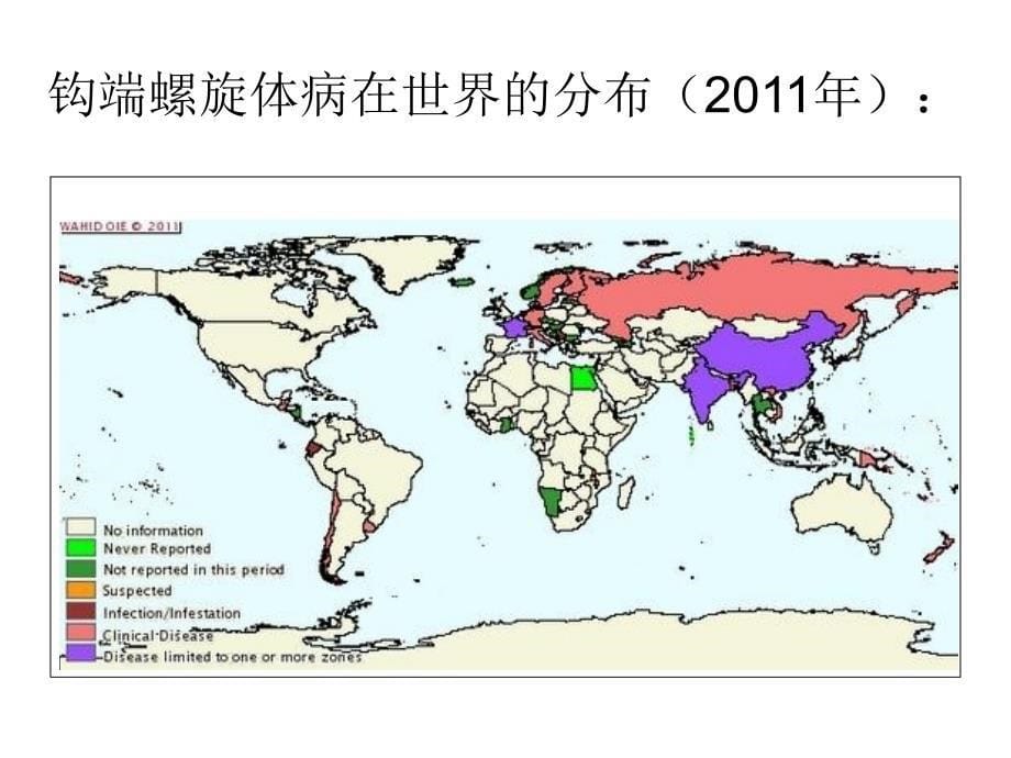 钩端螺旋体病(leptospirosis).ppt_第5页