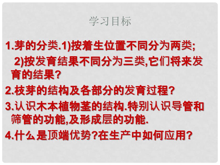 山东省高密市银鹰文昌中学八年级生物上册《第一章 绿色植物的一生》芽的类型和结构课件2 济南版_第3页