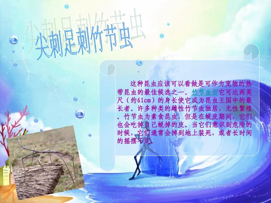 神奇的大自然-有趣的昆虫.ppt_第4页