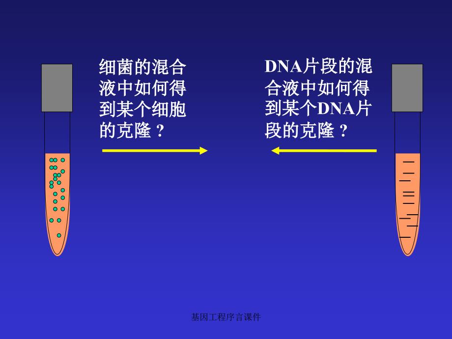 基因工程序言课件_第4页