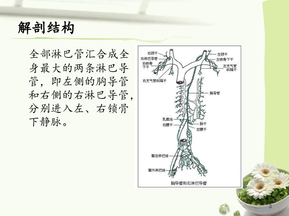 甲状腺术后乳糜漏的护理课件_第3页