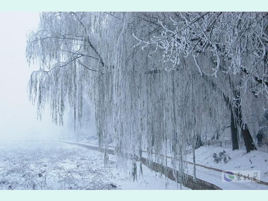 部编版一年级上册雪地里的小画家_第5页