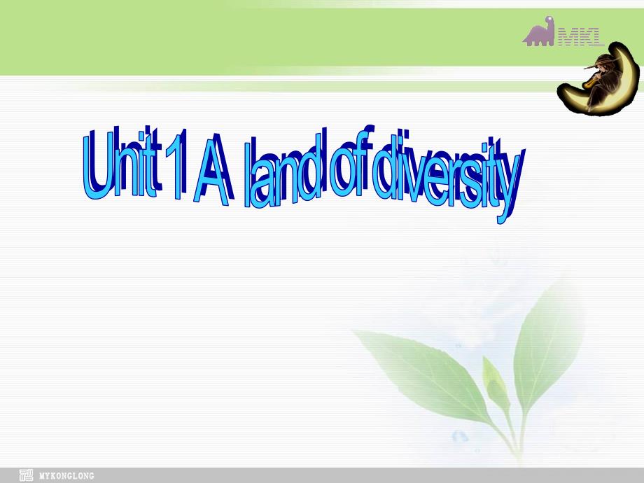 选修八11《Unit1　Alandofdiversity》_第2页