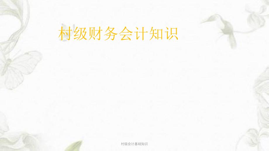 村级会计基础知识ppt课件_第1页