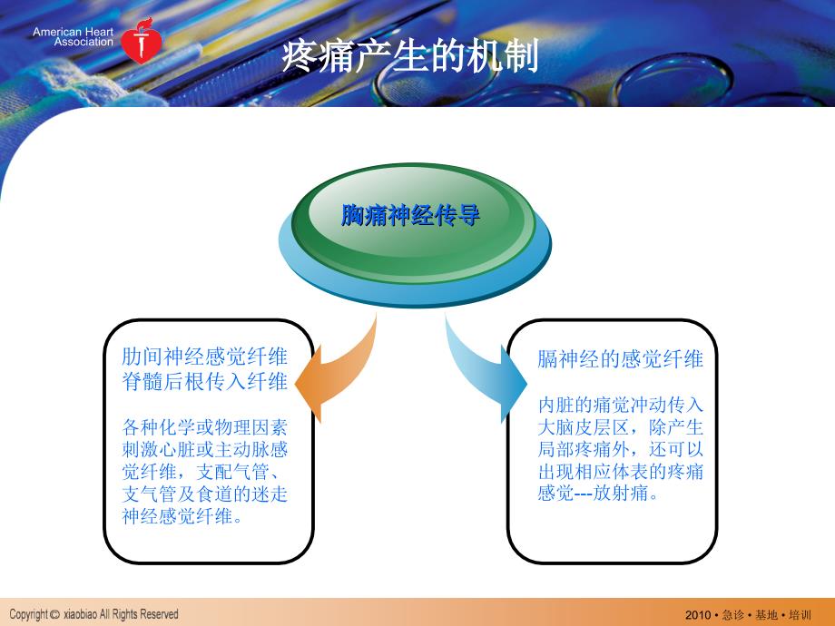 胸痛的急救规范流程_第4页