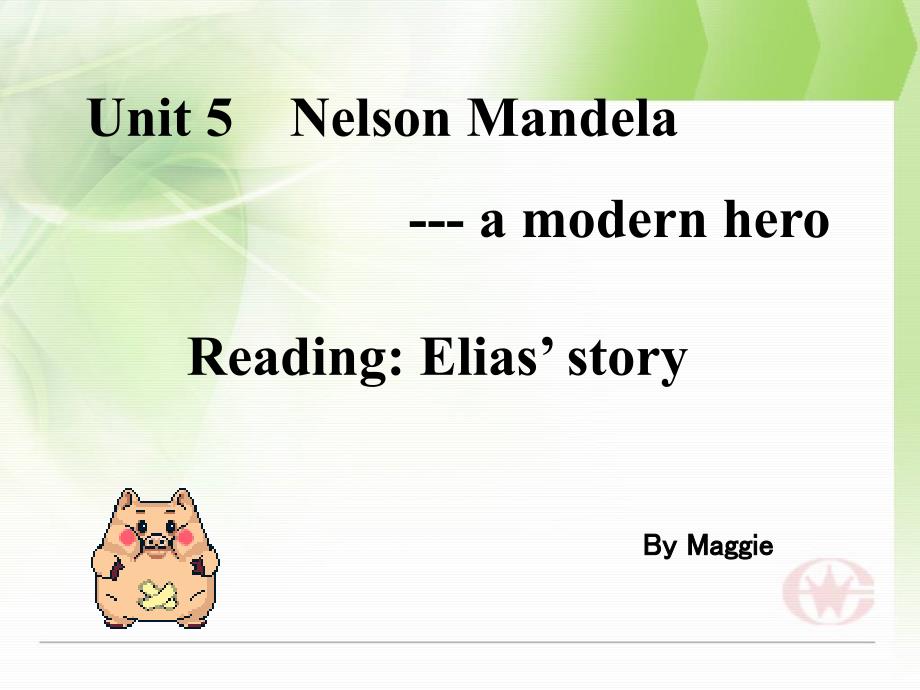 高一英语必修1《Unit_5_Nelson_Mandela_a_modern_hero》课件[1]_第2页