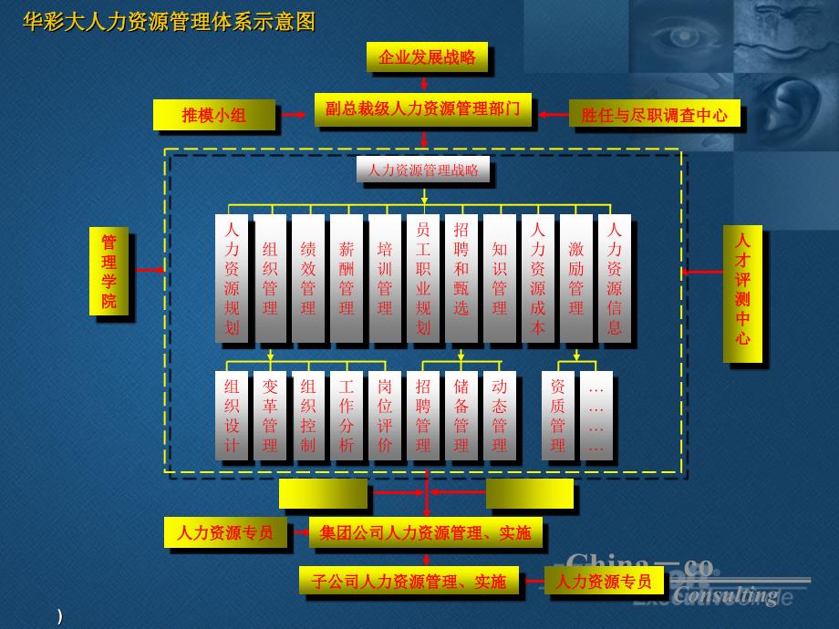 人力资源管理体系_第2页