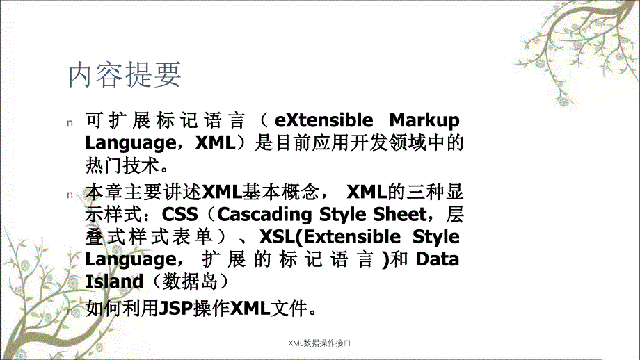 XML数据操作接口课件_第2页