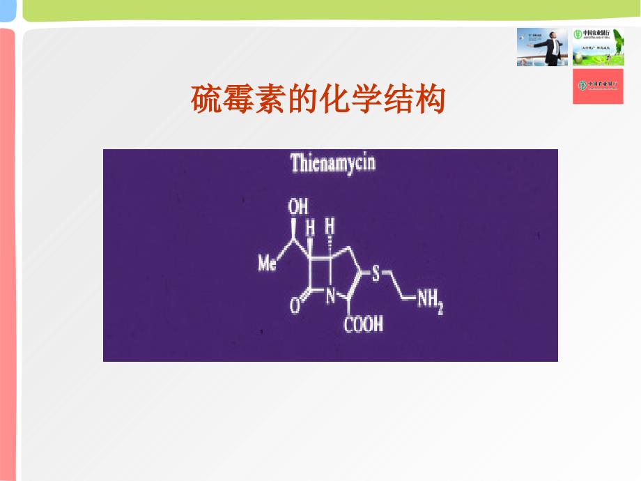 比阿培南基础与临床应用PPT课件02_第4页