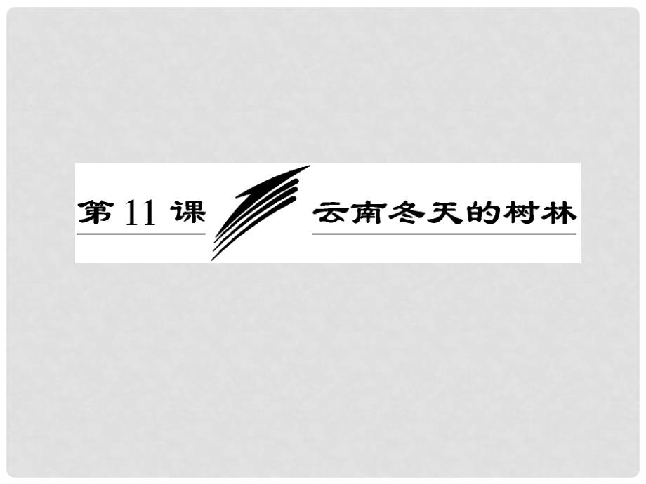 高中语文 第四专题 第11课 云南冬天的树林课件 苏教版选修《现代散文选读》_第3页