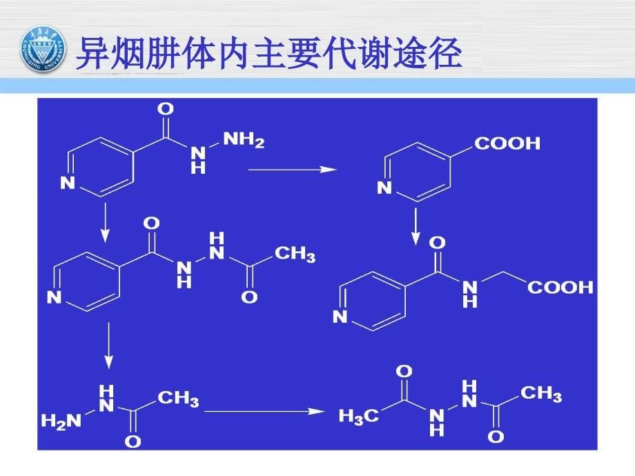 药物代谢pt课件_第5页