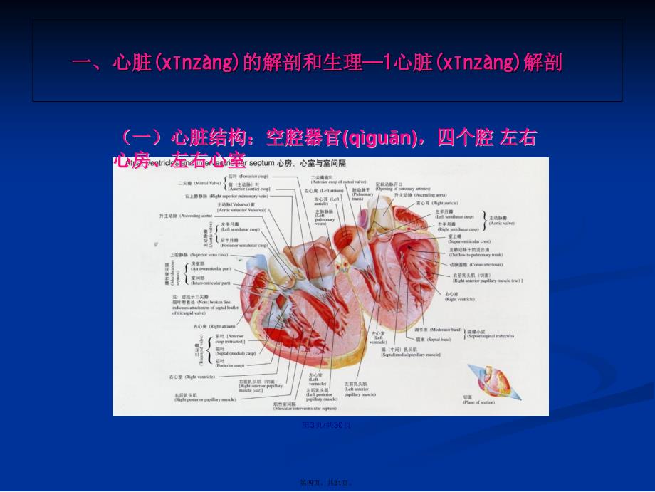 内科学循环系统疾病总论学习教案_第4页