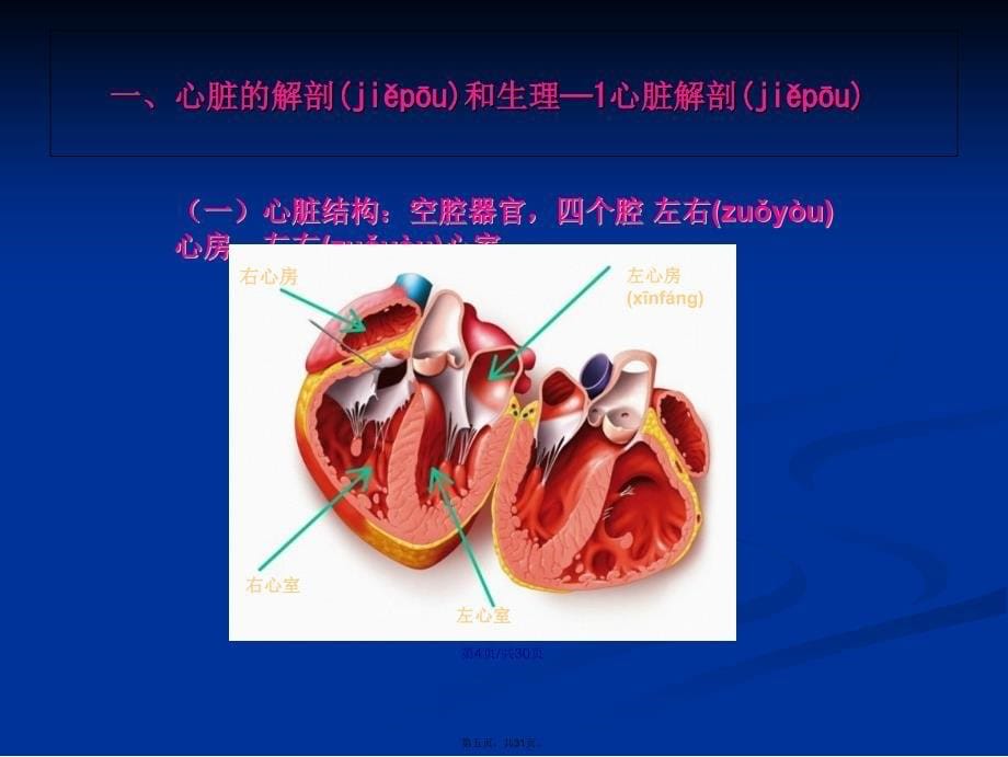 内科学循环系统疾病总论学习教案_第5页