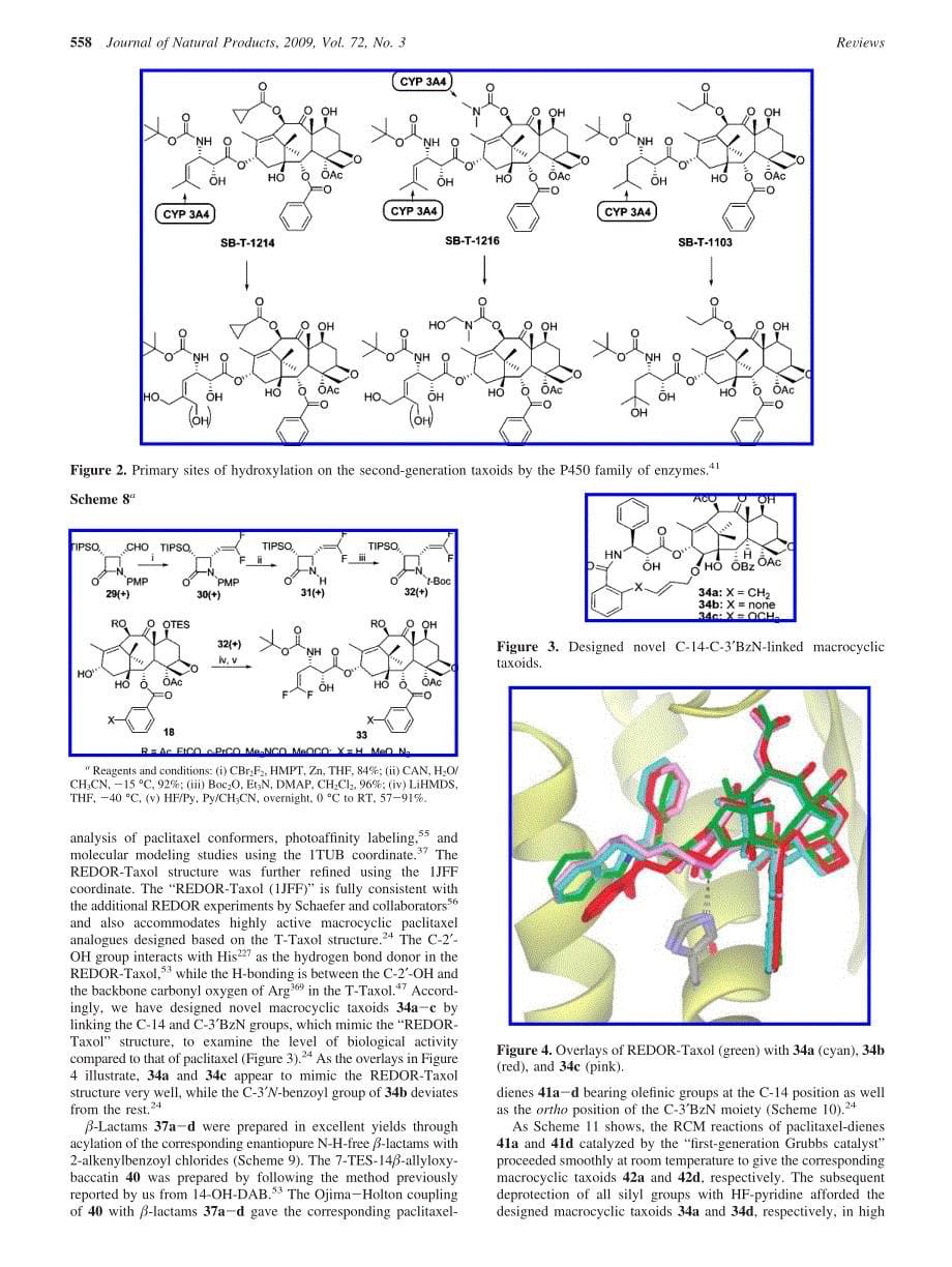 药物分析英文文献.pdf_第5页