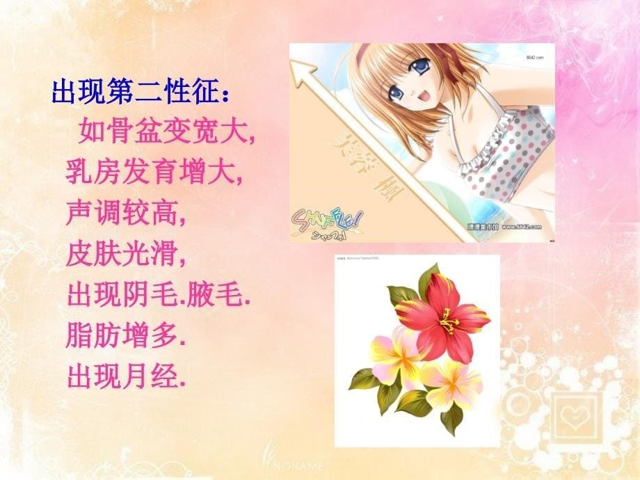 女生生理卫生课--课件09927.ppt_第5页