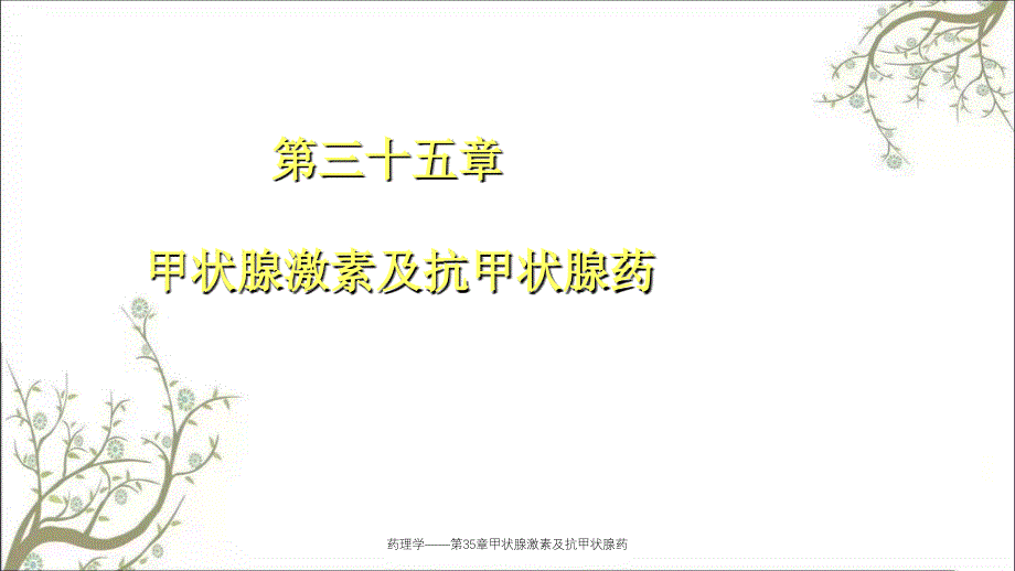 药理学第35章甲状腺激素及抗甲状腺药课件_第1页