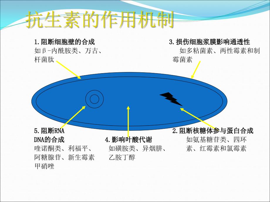 抗生素的分类及合理应用_第2页